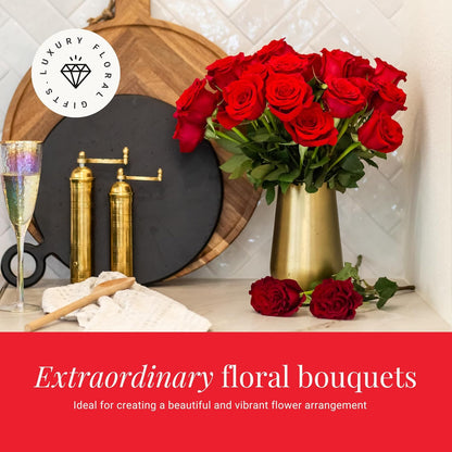 Two Dozen Red Roses Hand-Tied, 24 Long Stems,Farm Fresh Flowers,Vase Not Included, Fresh Flowers for Delivery – Gift for Birthday, Anniversary, Get Well, Congratulations, Wedding