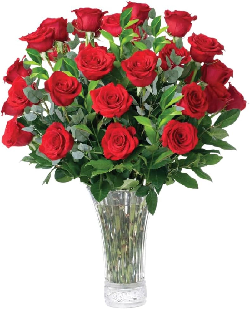 – Flowers for Delivery, Fresh Flowers Bouquet, Handpicked from the Farm, Gift for Birthday, Anniversary, or Just Because – 24 Fresh Roses