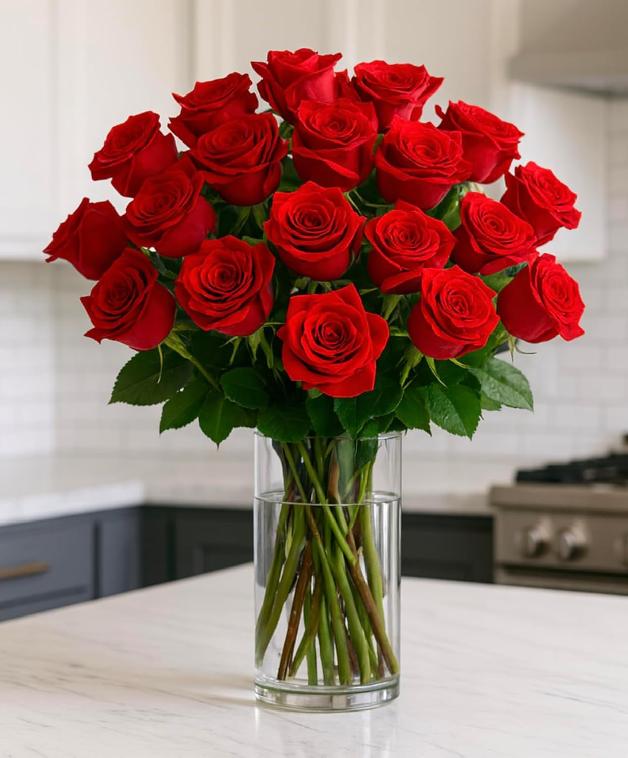 Two Dozen Red Roses Hand-Tied, 24 Long Stems,Farm Fresh Flowers,Vase Not Included, Fresh Flowers for Delivery – Gift for Birthday, Anniversary, Get Well, Congratulations, Wedding
