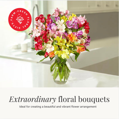 24 Multicolored Alstroemeria Bouquet Flowers, Long Lasting & Hand-Tied, Farm Fresh Cut Flowers Bouquet - Gift for Birthday, Anniversary, Wedding | No Vase.