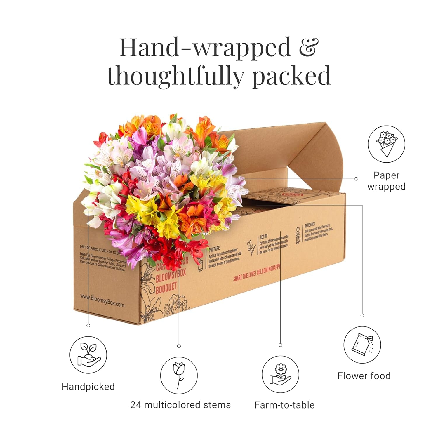 24 Multicolored Alstroemeria Bouquet Flowers, Long Lasting & Hand-Tied, Farm Fresh Cut Flowers Bouquet - Gift for Birthday, Anniversary, Wedding | No Vase.