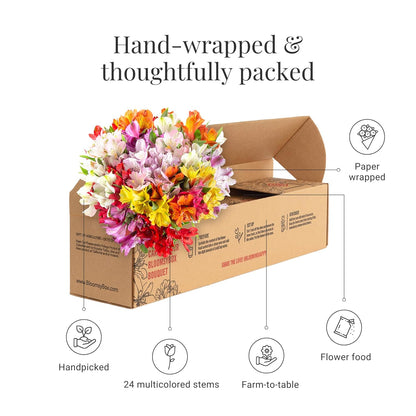 24 Multicolored Alstroemeria Bouquet Flowers, Long Lasting & Hand-Tied, Farm Fresh Cut Flowers Bouquet - Gift for Birthday, Anniversary, Wedding | No Vase.