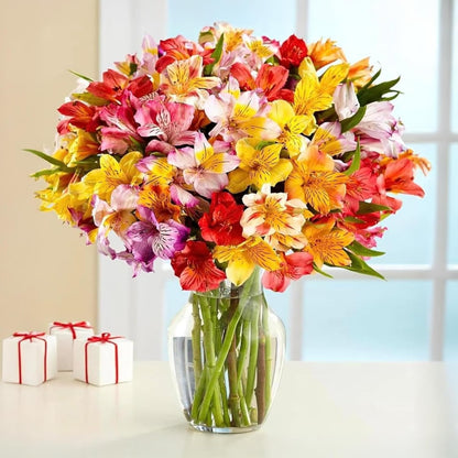 24 Multicolored Alstroemeria Bouquet Flowers, Long Lasting & Hand-Tied, Farm Fresh Cut Flowers Bouquet - Gift for Birthday, Anniversary, Wedding | No Vase.