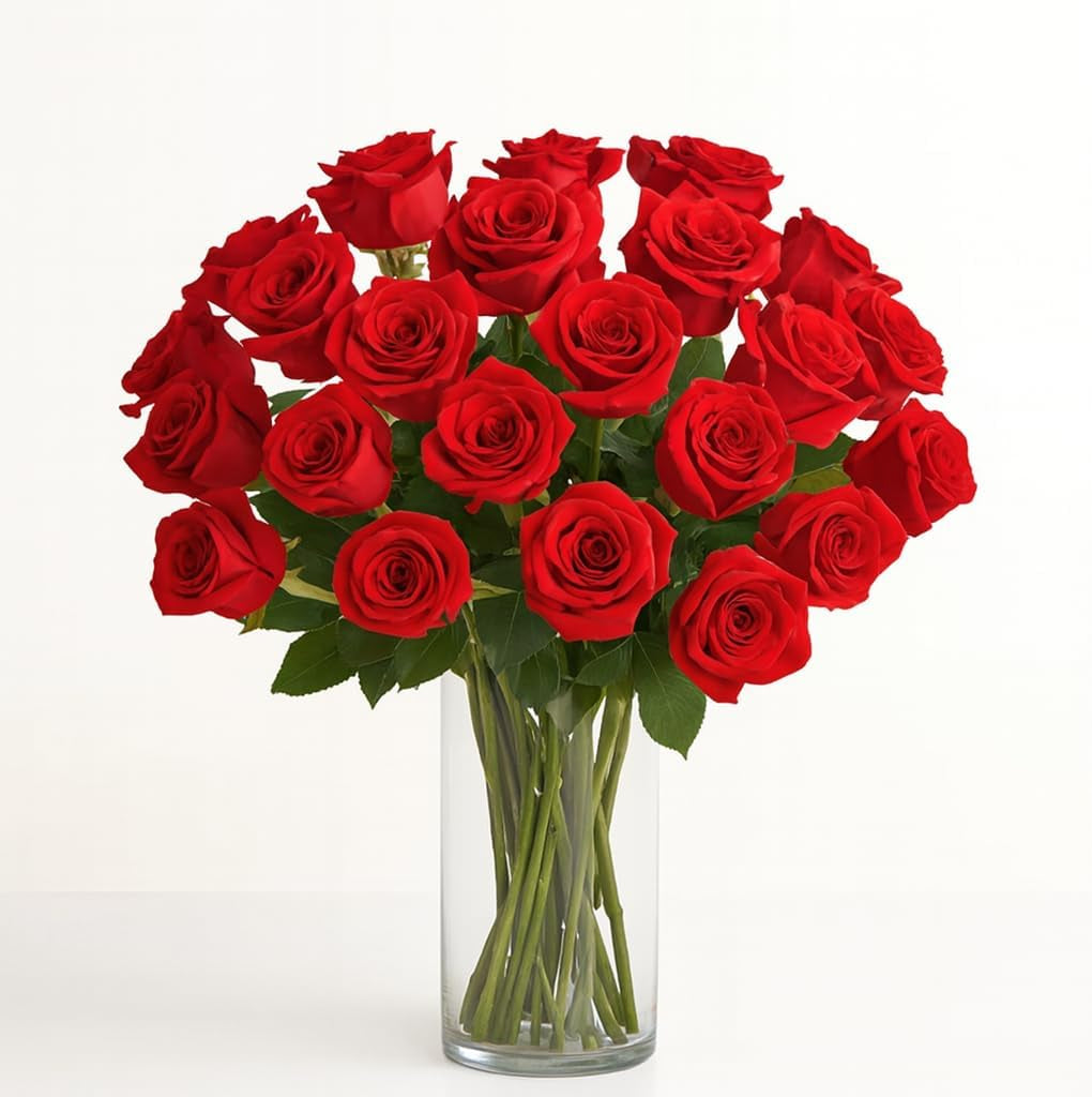 Two Dozen Red Roses Hand-Tied, 24 Long Stems,Farm Fresh Flowers,Vase Not Included, Fresh Flowers for Delivery – Gift for Birthday, Anniversary, Get Well, Congratulations, Wedding