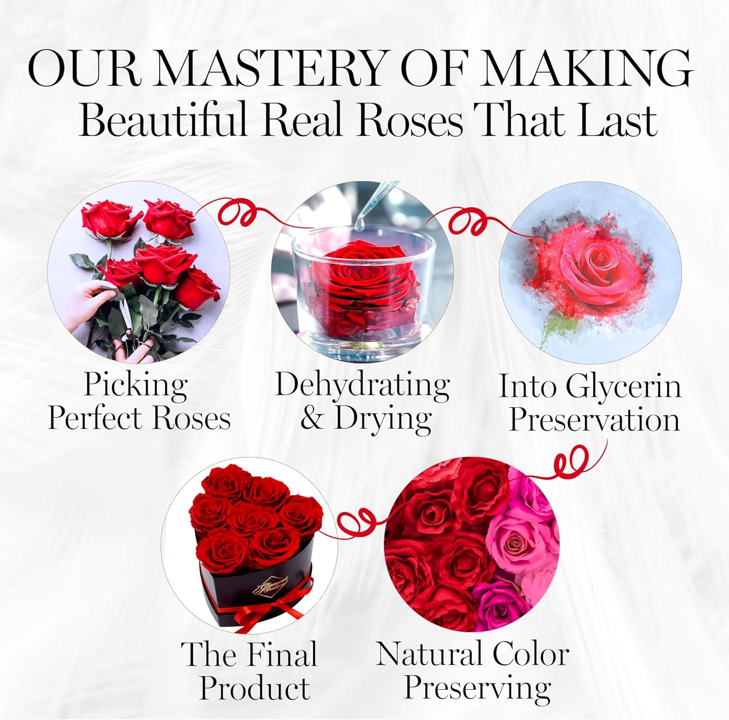 7 Flower Forever Heart Shape Box - Preserved Roses Gift for Her, Preserved Flowers, Red
