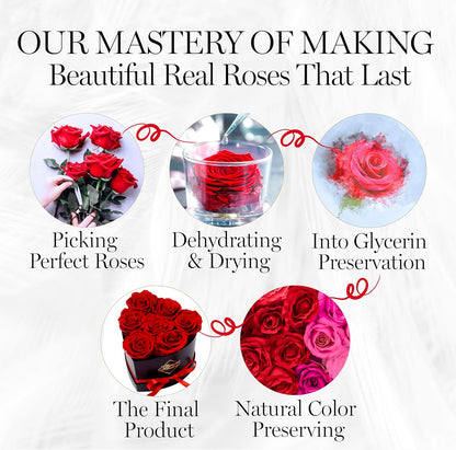 7 Flower Forever Heart Shape Box - Preserved Roses Gift for Her, Preserved Flowers, Red