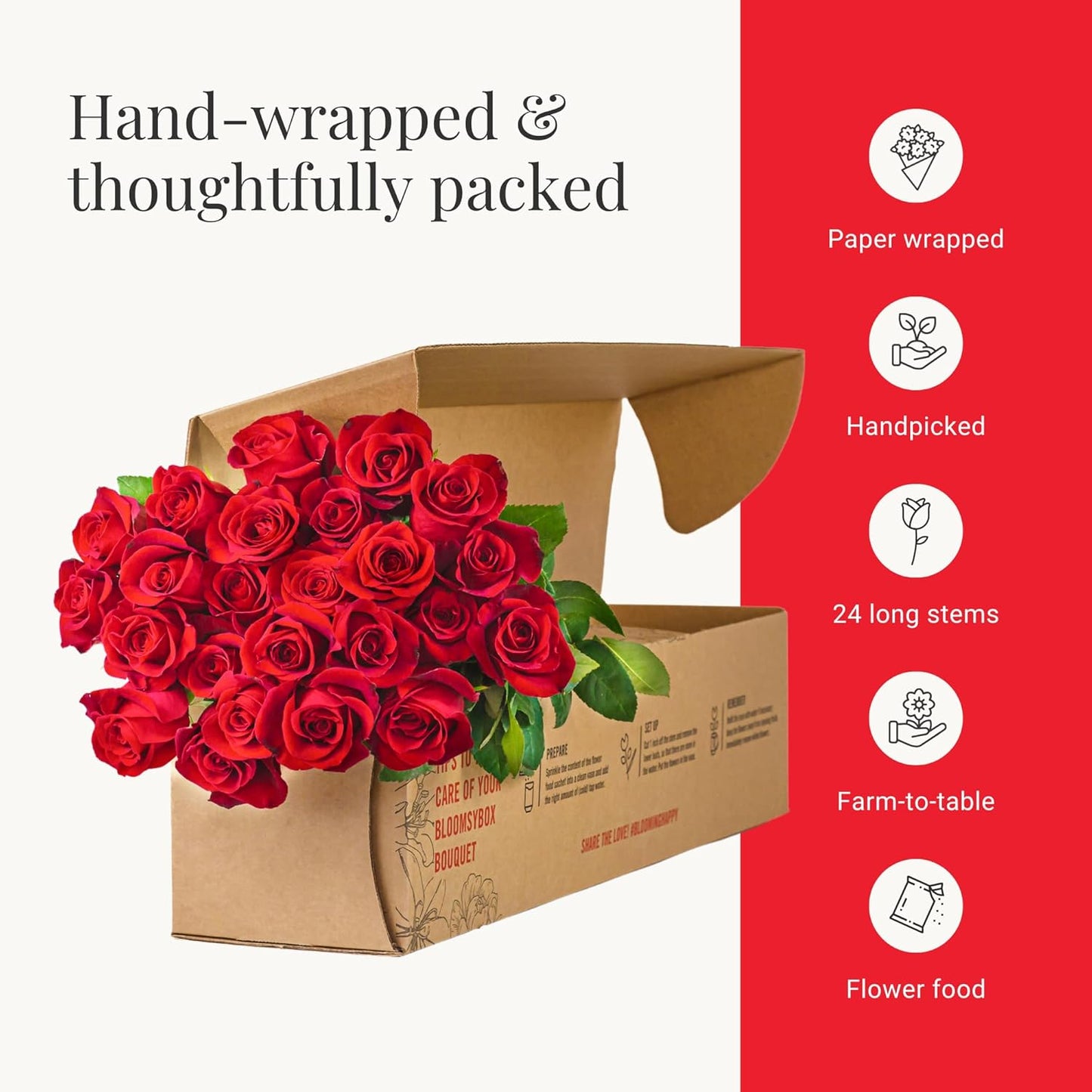 Two Dozen Red Roses Hand-Tied, 24 Long Stems,Farm Fresh Flowers,Vase Not Included, Fresh Flowers for Delivery – Gift for Birthday, Anniversary, Get Well, Congratulations, Wedding